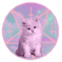 the-dumb-kitten avatar