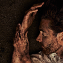 the-echo-of-the-trees avatar