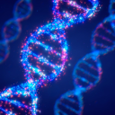 the-elder-lifter avatar