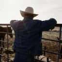 the-eldest-yehawthorne avatar