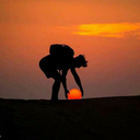 the-elements-of-life avatar