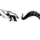 the-elephant-quadrille avatar