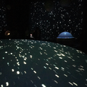 the-ellyworld avatar