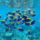 the-end-of-june avatar