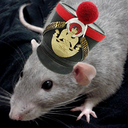 the-end-of-the-chase avatar