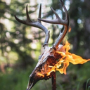 the-erlking-saga avatar