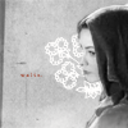 the-eveningstar-blog-blog avatar