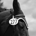 the-eventer-blog avatar