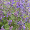 the-events-of-me avatar