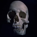 the-evil-skull avatar