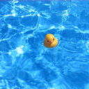 the-exhaustedduck avatar