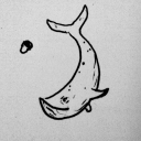 the-falling-whale avatar