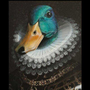 the-fanciest-duck avatar