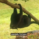 the-fantasy-ended-when-we-awoke avatar