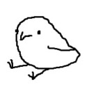 the-flightless-birds avatar