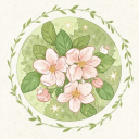 the-floral-heaven avatar