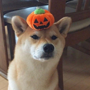 the-forever-alones avatar