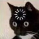 the-four-eyed-stray avatar