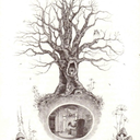 the-fox-burrow avatar