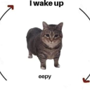 the-freakasaur avatar