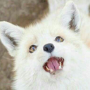 the-friendly-reader avatar