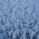 the-frost-queen-of-asgard avatar