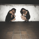 the-galaxy-in-your-eyes avatar