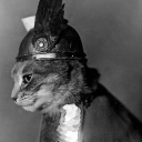 the-garden-song avatar