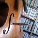 the-garrincha-universe avatar