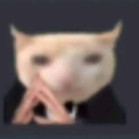 the-giggleshit avatar