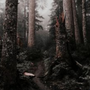 the-ginger-freak avatar