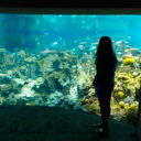 the-girl-with-the-diamond-tattoo avatar