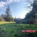 the-gladiolus avatar