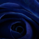 the-glasses-are-my-disguise avatar