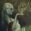 the-grace-of-andraste avatar