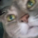 the-greatest-8 avatar