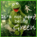 the-green-fairy avatar