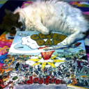 the-green-hour avatar