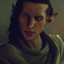 the-greywardens avatar