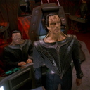 the-guls-itch avatar