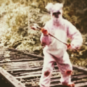 the-habits-of-rabbits avatar