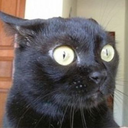 the-half-deaf-observer-blog avatar