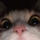 the-heart-of-a-dying-star24 avatar