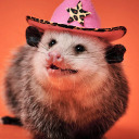 the-heart-of-leo avatar