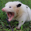 the-hereafter0 avatar