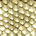 the-herringbone-and-gold avatar