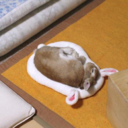 the-hiding--spot avatar