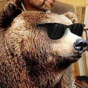 the-high-bear-of-asgaard avatar