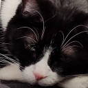 the-homunculus avatar