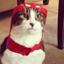 the-human-error avatar